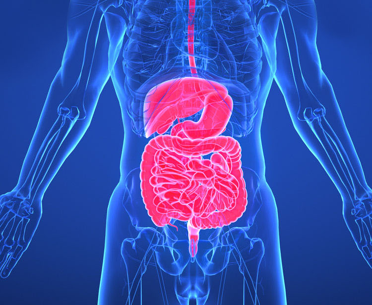 GC07 肝肠排毒方案 | 秦皇岛润泽医院特色服务项目