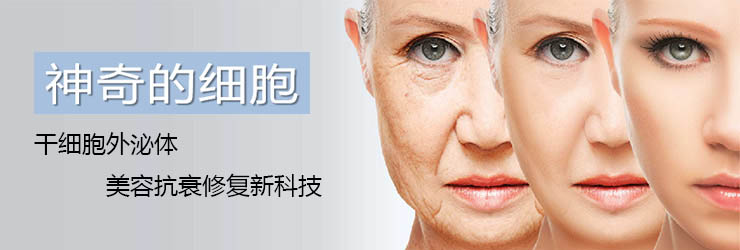 干细胞外泌体与美容抗衰修复