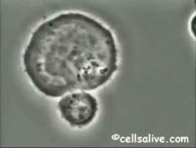 秦皇岛润泽医院