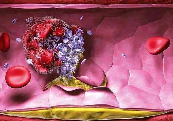 秦皇岛润泽医院