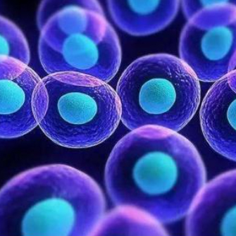 秦皇岛润泽医院